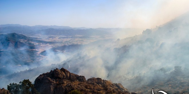 کنترل آتش سوزی جنگل های ” ده ره وه ران” با ممانعت هنگ مرزی روبرو شد