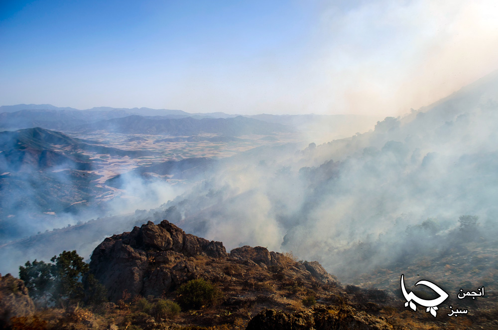 کنترل آتش سوزی جنگل های ” ده ره وه ران” با ممانعت هنگ مرزی روبرو شد