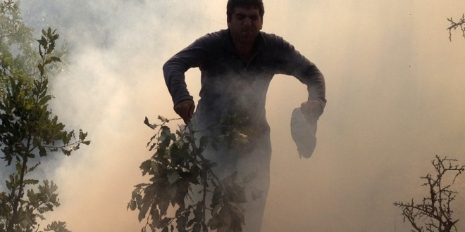 گزارش تصویری شمارە 4 از آتش سوزی جنگل های پشت روستای”دەرەوەران”