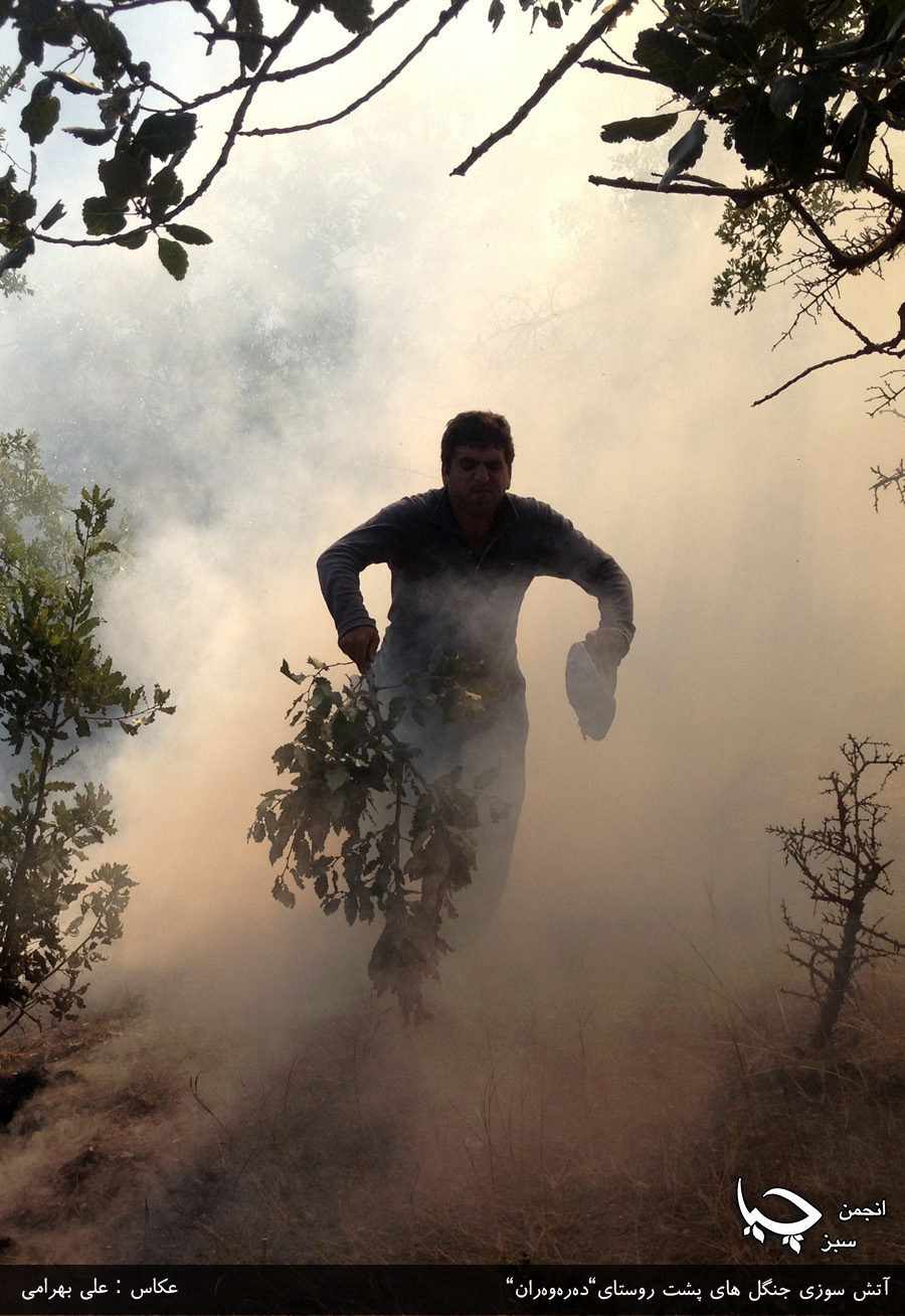 گزارش تصویری شمارە 4 از آتش سوزی جنگل های پشت روستای”دەرەوەران”