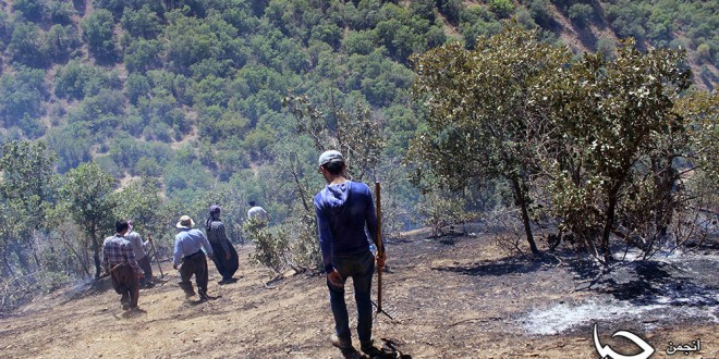گزارش تصویری از آتش سوزی جنگل های روستای”سەرنژمار”