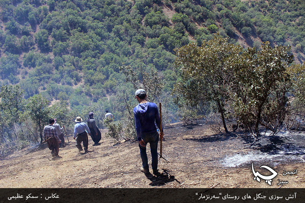 گزارش تصویری از آتش سوزی جنگل های روستای”سەرنژمار”