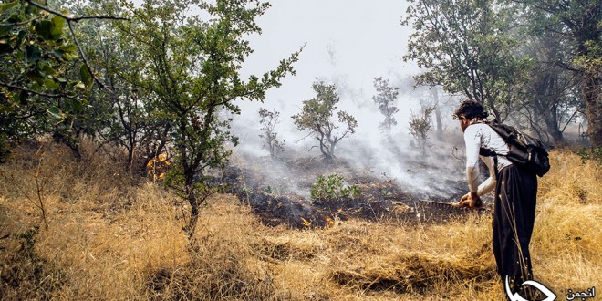گزارش تصویری شماره 2 از آتش سوزی جنگل های روستای”بناوەچڵە”