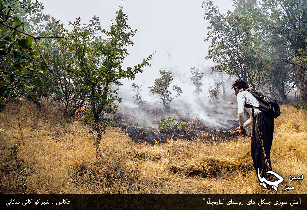 گزارش تصویری شماره 2 از آتش سوزی جنگل های روستای”بناوەچڵە”