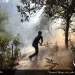 آتش سوزی جنگل های دەرەوەران