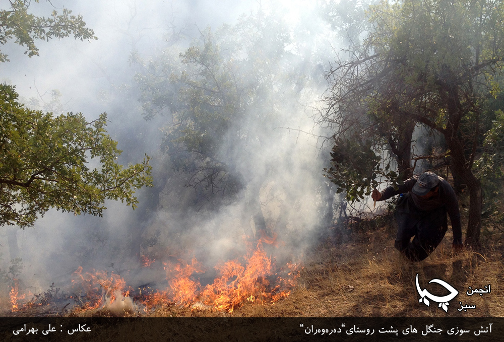 افزایش 40 درصدی آتش سوزی جنگلها