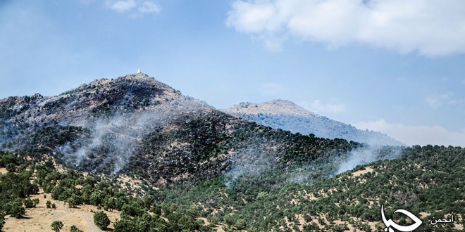 گزارش تصویری شمارە 2 از آتش سوزی جنگل های پشت روستای”دەرەوەران”