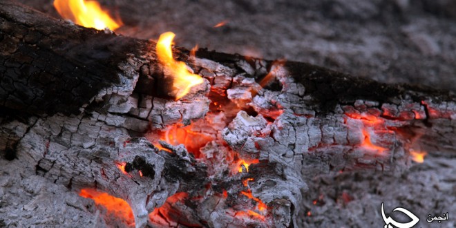 گزارش تصویری شمارە 1 از آتش سوزی جنگل های پشت روستای”دەرەوەران”