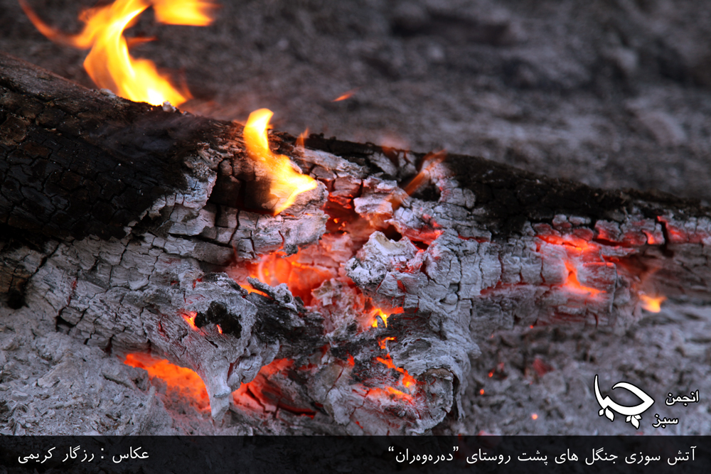 گزارش تصویری شمارە 1 از آتش سوزی جنگل های پشت روستای”دەرەوەران”
