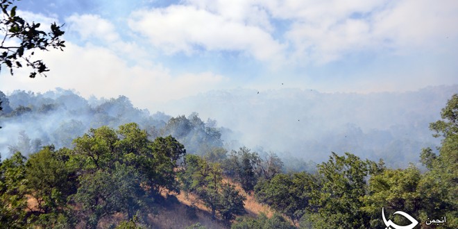 گزارش تصویری شمارە 3 از آتش سوزی جنگل های پشت روستای”دەرەوەران”