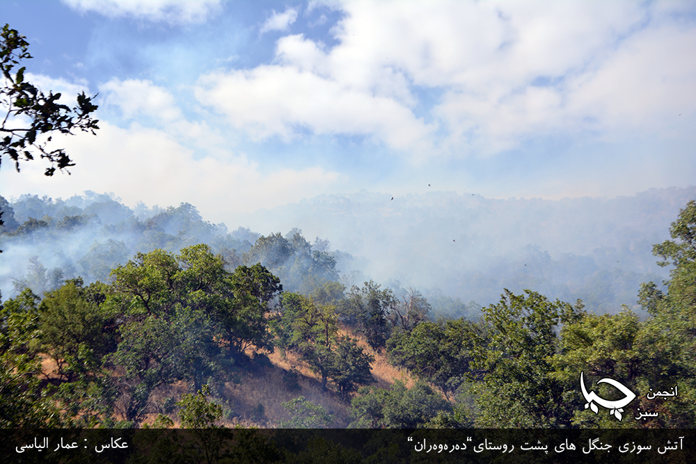 گزارش تصویری شمارە 3 از آتش سوزی جنگل های پشت روستای”دەرەوەران”