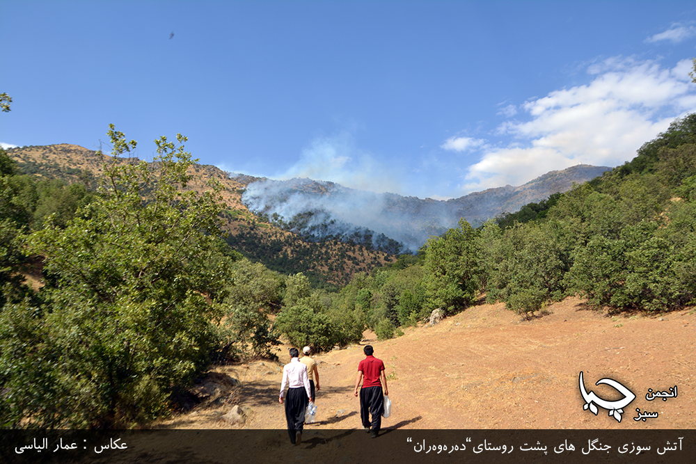 فرماندار مریوان آتش سوزی در400 هکتار از جنگل های مریوان را تکذیب کرد