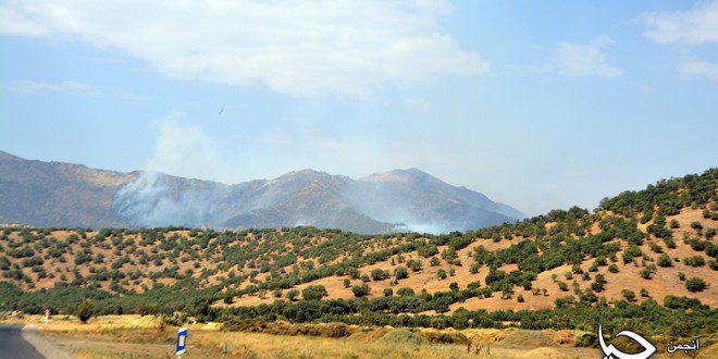 حجم آتش سوزی جنگل های اطراف مریوان در هاله ای از ابهام