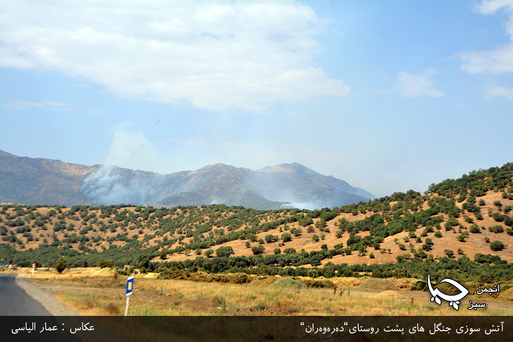 حجم آتش سوزی جنگل های اطراف مریوان در هاله ای از ابهام