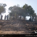 آتش سوزی جنگل های روستای"گومارەلەنگ"