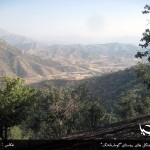 آتش سوزی جنگل های روستای"گومارەلەنگ"