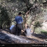 آتش سوزی جنگل های روستای"گومارەلەنگ"