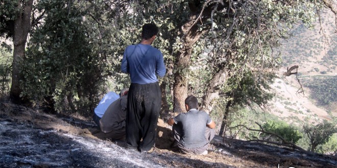 گزارش تصویری از آتش سوزی جنگل های روستای”گومارەلەنگ”