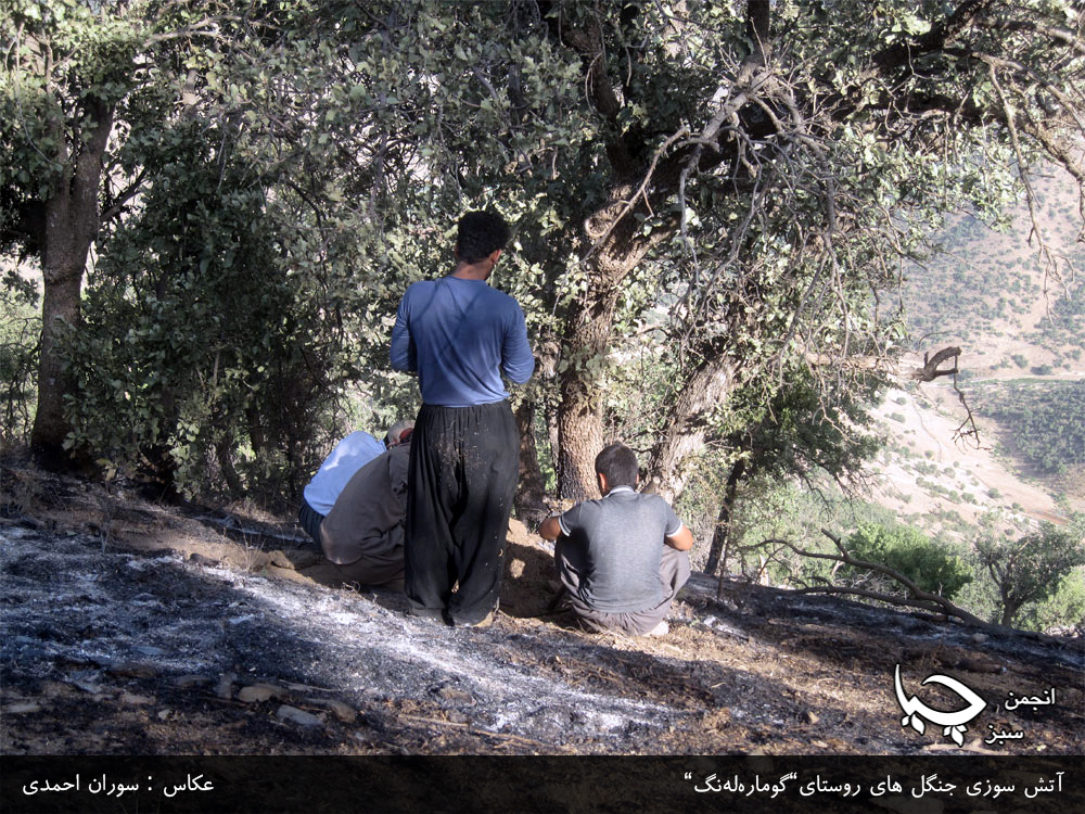 گزارش تصویری از آتش سوزی جنگل های روستای”گومارەلەنگ”