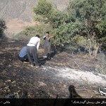 آتش سوزی جنگل های روستای"گومارەلەنگ"