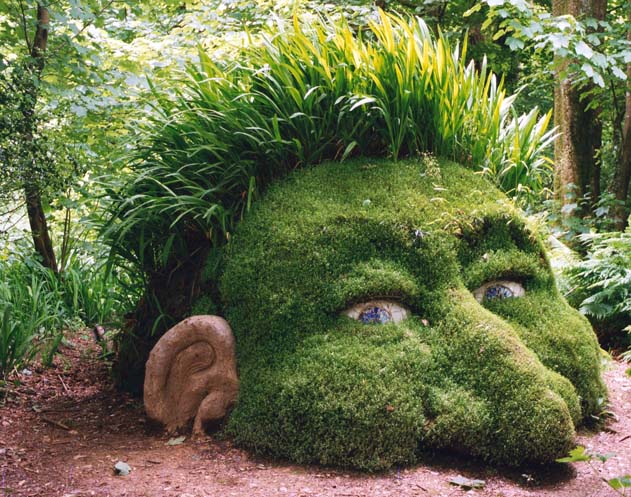 بررسی نقش و اهمیت فضای سبز در زندگی شهری