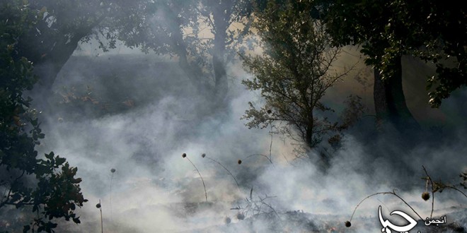 گزارش تصویری از آتش سوزی جنگل های روستای”دەرەوەران”