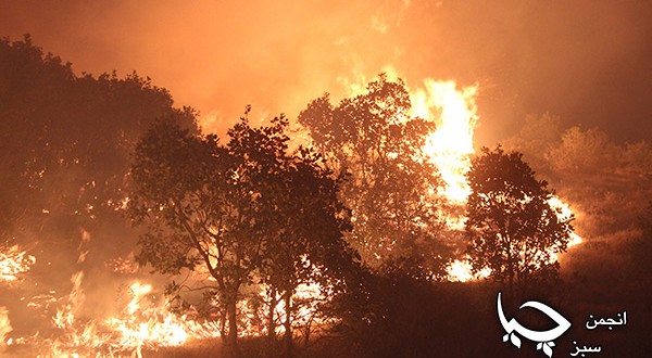 گزارش تصویری از آتش سوزی جنگل های”سردشت”شهرستان سروآباد