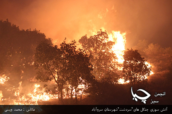 گزارش تصویری از آتش سوزی جنگل های”سردشت”شهرستان سروآباد