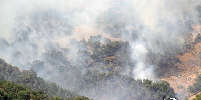گزارش تصویری از آتش سوزی جنگل های روستای”وشکەڵان”