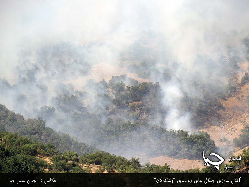 گزارش تصویری از آتش سوزی جنگل های روستای”وشکەڵان”