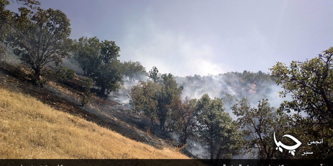 آتش سوزی جنگل ھای روستای”چنارە”