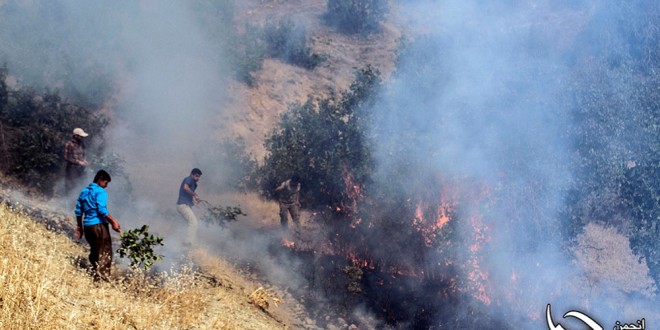 آتش سوزی جنگل ھای ” گەنکە ” اطراف شهر مریوان