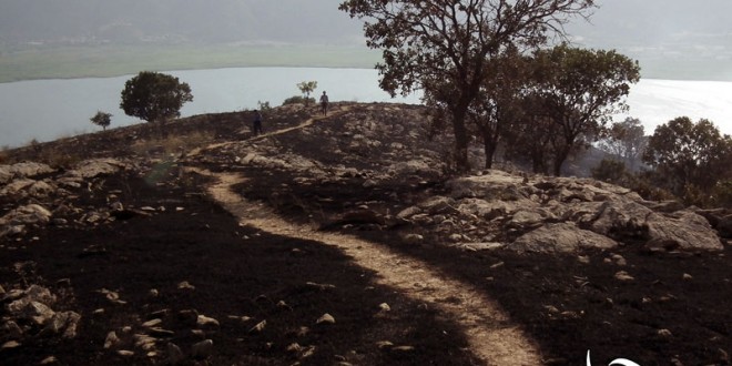 َآتش سوزی جنگل های پشت” قەبر دەروێش” اطراف شهر مریوان