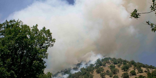 رسانه‌ها؛ مقصرآتش سوزی مهمترین پارک ملی کشور!