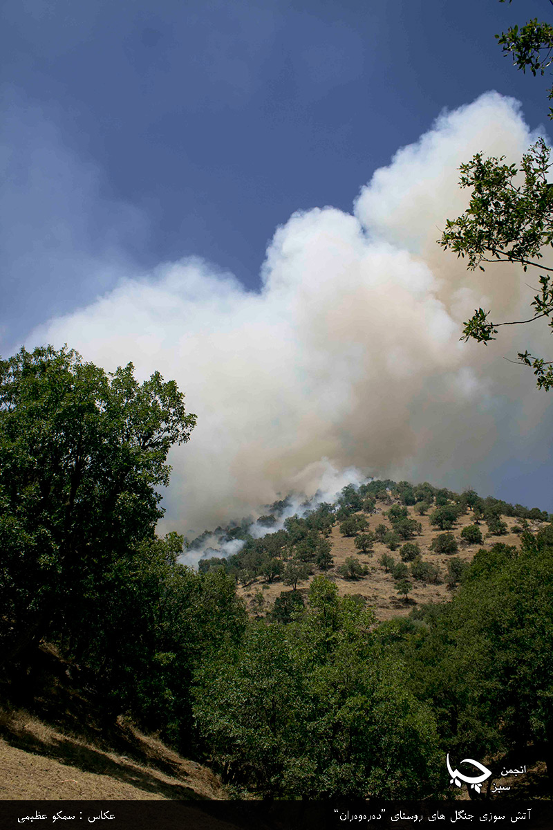 رسانه‌ها؛ مقصرآتش سوزی مهمترین پارک ملی کشور!