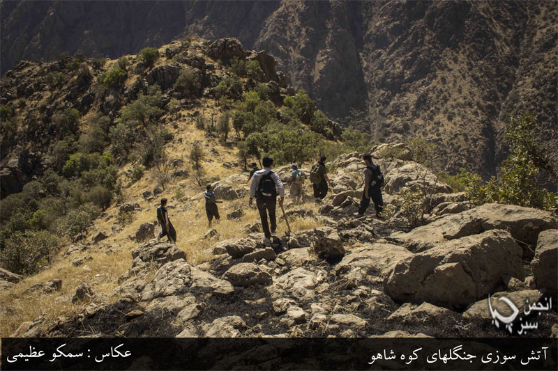 گزارش تصویری آتش سوزی جنگلهای کوه شاهو