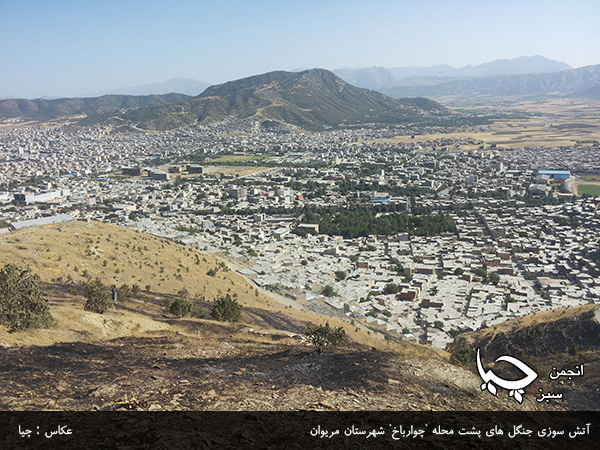 آتش سوزی جنگل های پشت محله “چوارباخ” شهرستان مریوان