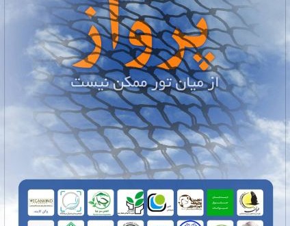 حمایت ۳۲ گروه زیست محیطی از «کمپین پرواز»/ جلوگیری از نسل کشی پرندگان مهاجر از اولویت های اولیه زیست محیطی است