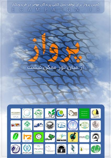 حمایت ۳۲ گروه زیست محیطی از «کمپین پرواز»/ جلوگیری از نسل کشی پرندگان مهاجر از اولویت های اولیه زیست محیطی است