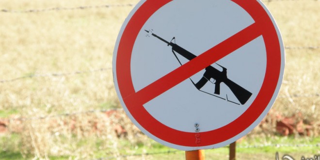 گزارش تصویری برگزاری روز جهانی‌ مقابله با آثار جنگ و درگیری های مسلحانه بر محیط زیست توسط کمیته کودکان انجمن سبز چیا