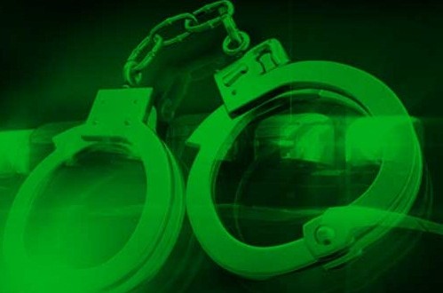 دستگیری 9 شکارچی متخلف در منطقه حفاظت شده شاهو و کوسالان