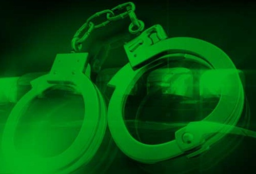 دستگیری 9 شکارچی متخلف در منطقه حفاظت شده شاهو و کوسالان