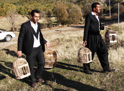 رها سازی 7 قطعه کبک در شهرستان مریوان