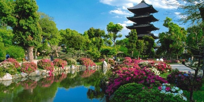 وەك تاك چۆن ژینگە بپارێزین