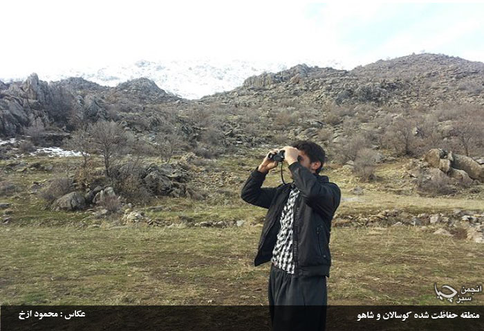 تشکیل تیم های حفاظت از منطقه حفاظت شده کوسالان و شاهو توسط جوانان روستای بلبر