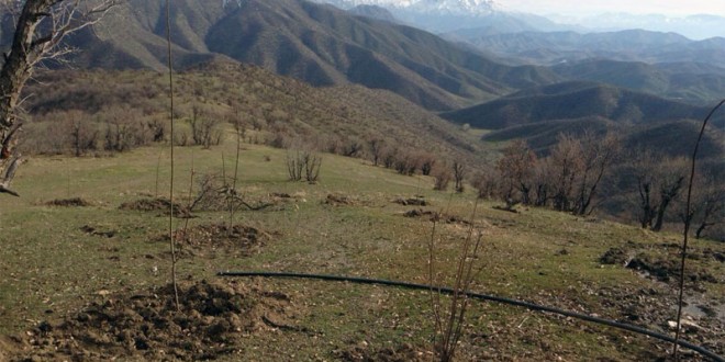 برگزاری مراسم نهالکاری و ساخت آبشخور در روستای ره شه ده