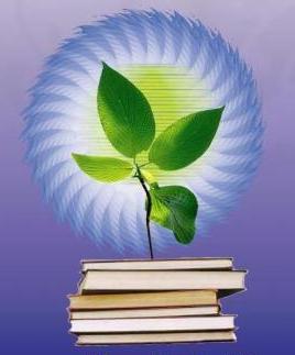 مکان یابی جایگاه پسماند ویژه از اولویتهای پژوهشی محیط زیست کردستان است