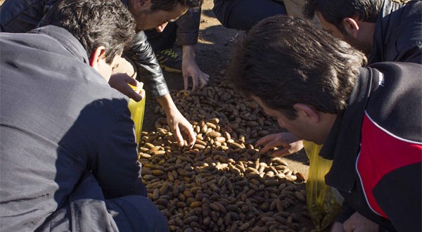 گزارش تصویری مراسم جنگلانه (2)