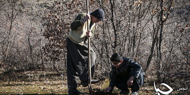 گزارش ویدیویی مراسم جنگلانه
