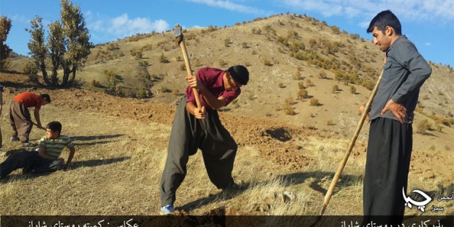 گزارش تصویری بذرکاری روستای شارانی